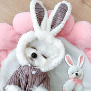 Cute Hoodie with Bunny Ears